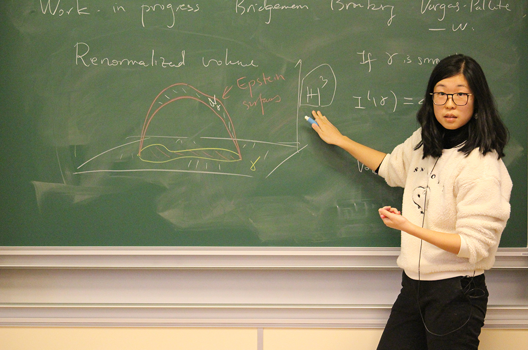 Yilin WANG, professeure junior IHES