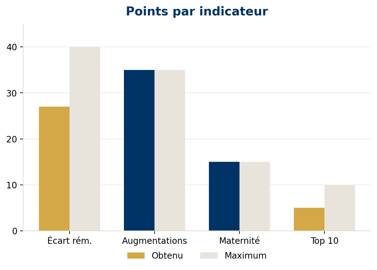 Histogram comparing points obtained and the maximum per indicator.
